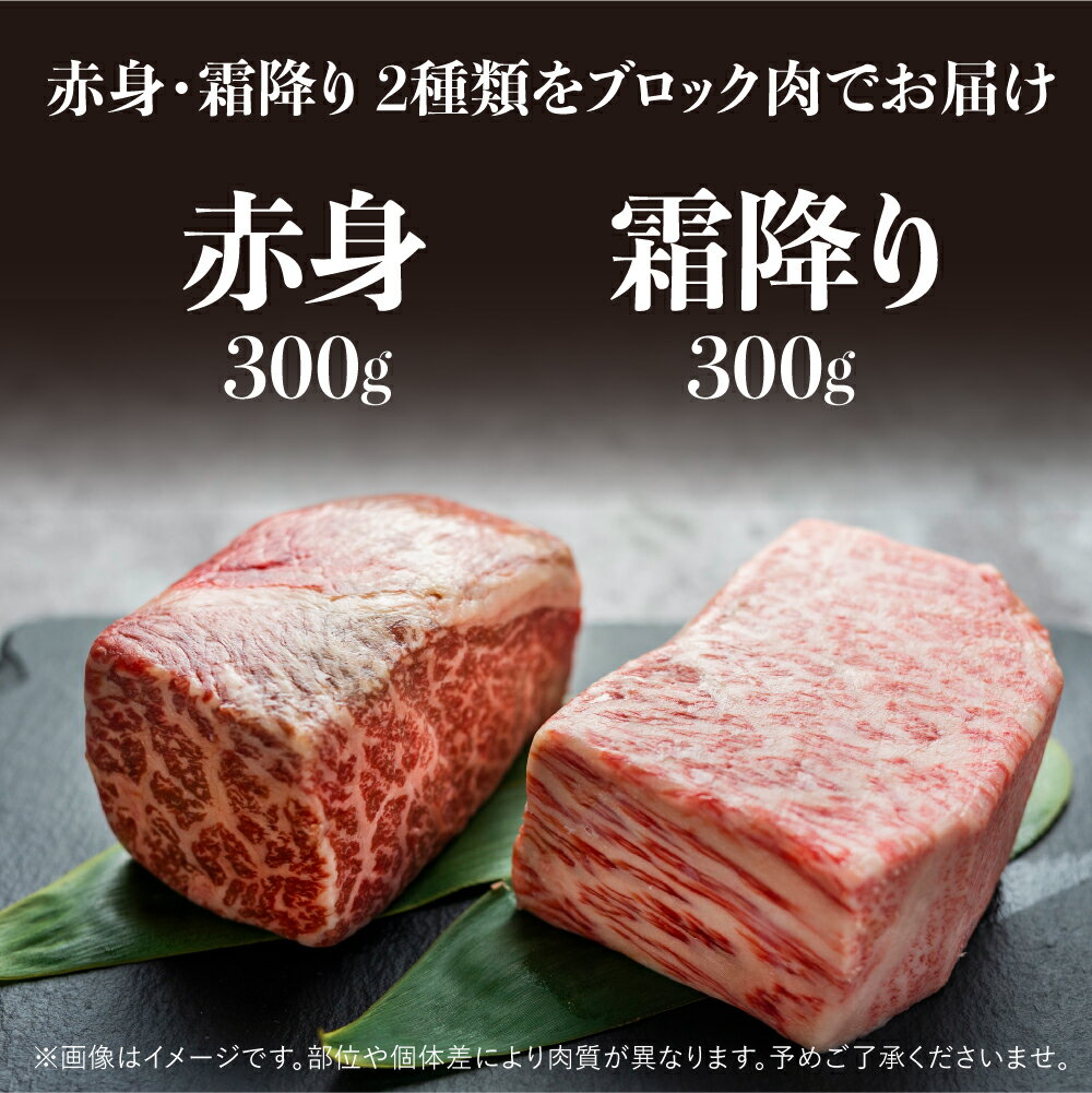 【ふるさと納税】飛騨牛 ブロック肉 [塊] (霜降り / 赤身 2種 牛肉 計600g) 食べ比べ ステーキ ローストビーフ に最適 訳あり 部位お任せ 真空パック 肉 バーベキュー BBQ bbq 焼肉 焼き肉 キャンプ 20000円 2万円 [S046] サムネイル2
