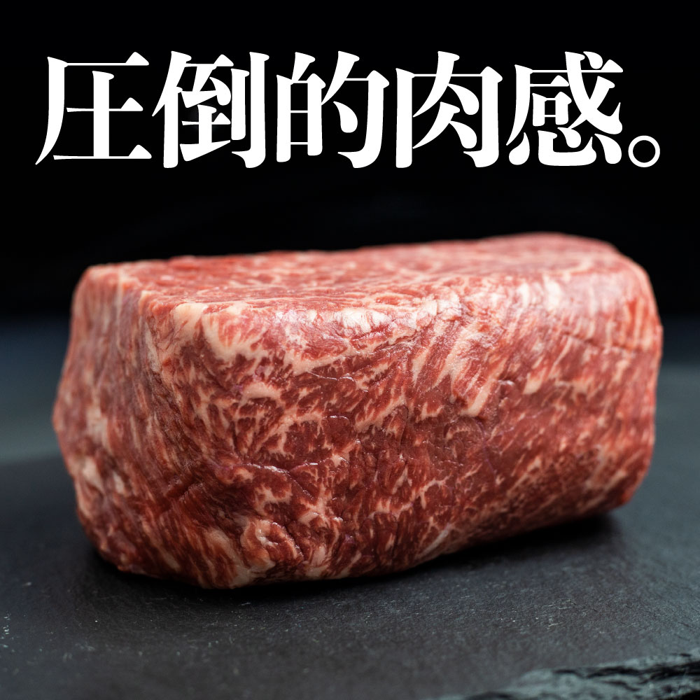 【ふるさと納税】】飛騨牛 ブロック肉 1kg 発送月が選べる 牛肉 ローストビーフ ステーキ 霜降り 赤身 500g 肉 食べ比べ 訳あり 訳アリ 部位お任せ 不揃い 規格外 真空パック 黒毛和牛 BBQ 焼肉 キャンプ 人気 ランキング 白川村 [S090] サムネイル2