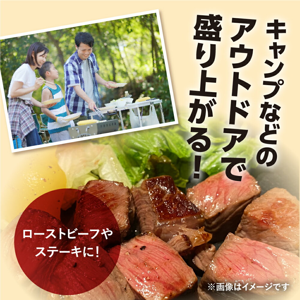 【ふるさと納税】飛騨牛 ブロック肉 [塊] (霜降り / 赤身 2種 牛肉 計600g) 食べ比べ ステーキ ローストビーフ に最適 訳あり 部位お任せ 真空パック 肉 バーベキュー BBQ bbq 焼肉 焼き肉 キャンプ 20000円 2万円 [S046] サムネイル3