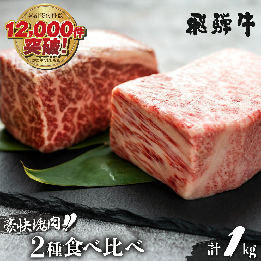 】飛騨牛 ブロック肉 1kg 発送月が選べる 牛肉 ローストビーフ ステーキ 霜降り 赤身 500g 肉 食べ比べ 訳あり 訳アリ 部位お任せ 不揃い 規格外 真空パック 黒毛和牛 BBQ 焼肉 キャンプ 人気 ランキング 白川村 [S090]