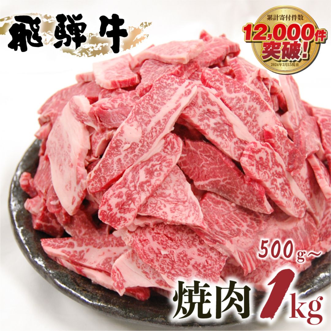 飛騨牛 焼肉 500g 1kg 発送月が選べる 訳あり 訳アリ 不揃い カルビ 牛肉 肉 お肉 バーベキュー 和牛 贈答 ギフト 焼き肉 切り落とし 規格外 ワケアリ14000円 25000円 おすすめ 人気 ランキング 岐阜県 白川村 [S201]