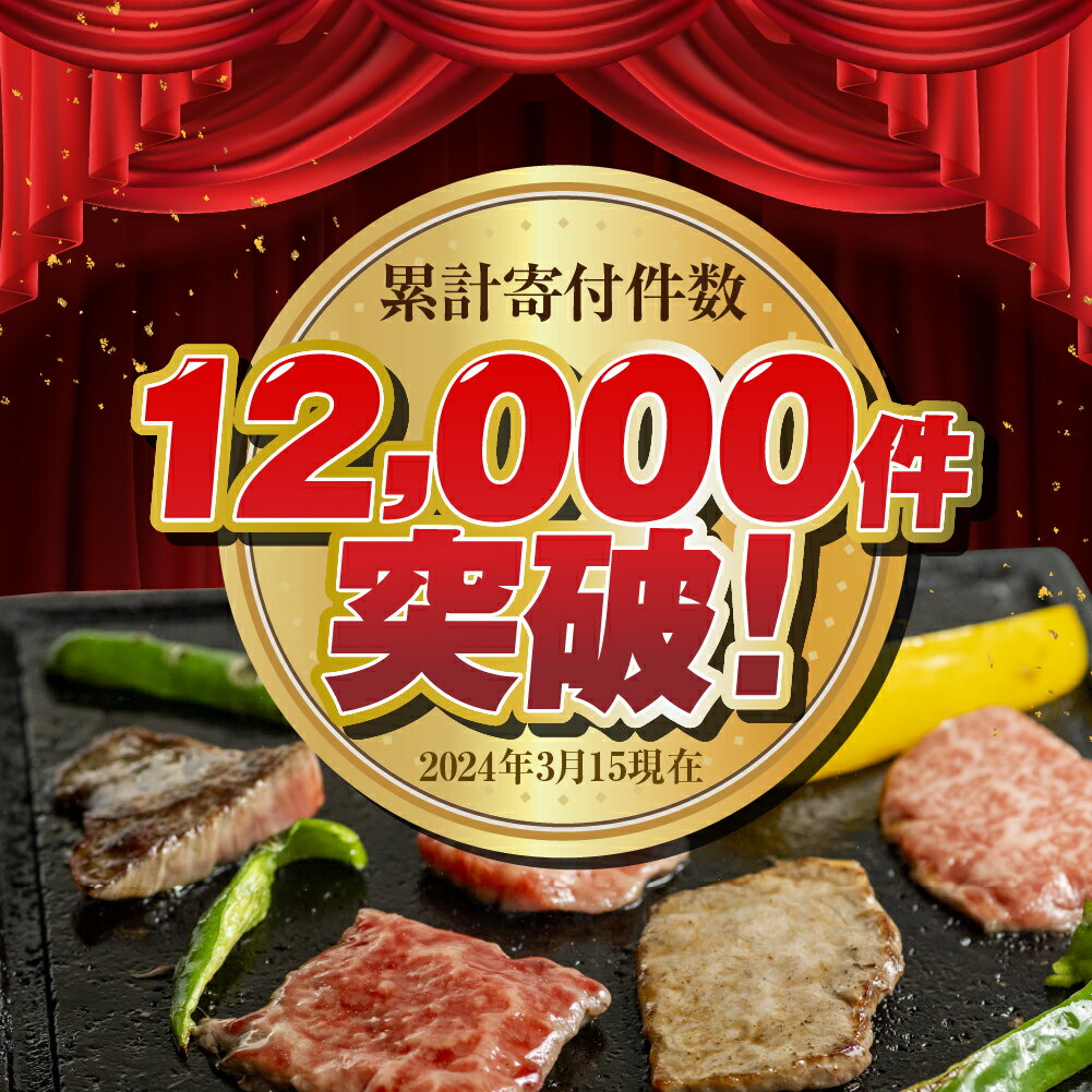 【ふるさと納税】飛騨牛 焼肉 500g 1kg 発送月が選べる 訳あり 訳アリ 不揃い カルビ 牛肉 肉 お肉 バーベキュー 和牛 贈答 ギフト 焼き肉 切り落とし 規格外 ワケアリ14000円 25000円 おすすめ 人気 ランキング 岐阜県 白川村 [S201] サムネイル2