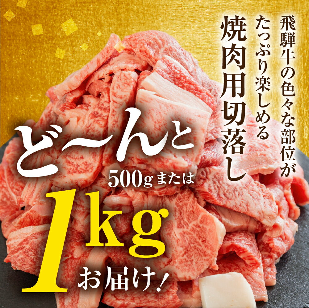 【ふるさと納税】飛騨牛 焼肉 500g 1kg 発送月が選べる 訳あり 訳アリ 不揃い カルビ 牛肉 肉 お肉 バーベキュー 和牛 贈答 ギフト 焼き肉 切り落とし 規格外 ワケアリ14000円 25000円 おすすめ 人気 ランキング 岐阜県 白川村 [S201] サムネイル3