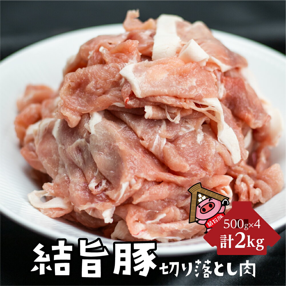 白川郷 結旨豚 切り落とし 500g×4パック 計2kg 岐阜県産　訳あり　部位不揃い 豚肉 ぶた肉 国産肉 小分け 国産豚 10,000円 1万円 抗生物質 合成抗菌剤不使用 [S226]
