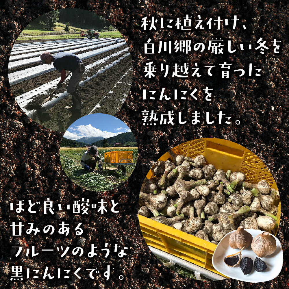 【ふるさと納税】黒にんにく 熟成発酵にんにく1袋 約150g 甘さが自慢！ 白川郷産 黒ニンニク 岐阜県 飛騨 にんにく 大田ファーム お試し 白川村 戸ヶ野 6000円 [S220] - 画像2