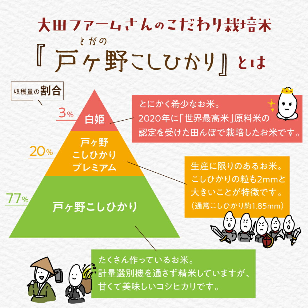 【ふるさと納税】先行予約 令和7年産 コシヒカリ 5kg 白川郷 戸ヶ野のこしひかりプレミアム 予約 こだわりのお米 精米 コシヒカリ 岐阜県 飛騨 世界最高米認定農家 大田ファーム 16000円 【2025年11月以降〜順次発送】 [S436] - 画像3