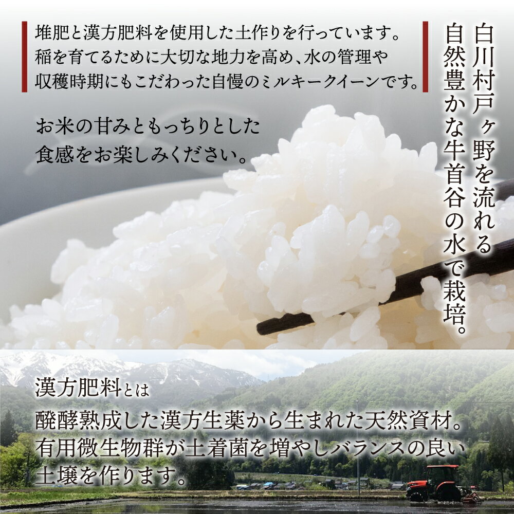 【ふるさと納税】先行予約 令和7年産 白川郷 戸ヶ野のミルキークイーン 5kg こだわりのお米 精米 みるきーくいーん ごはん おにぎり ご飯 食事 米 白米 弁当 甘い もっちり 岐阜県 飛騨 世界最高米認定農家 大田ファーム 16000円 [S585] - 画像2