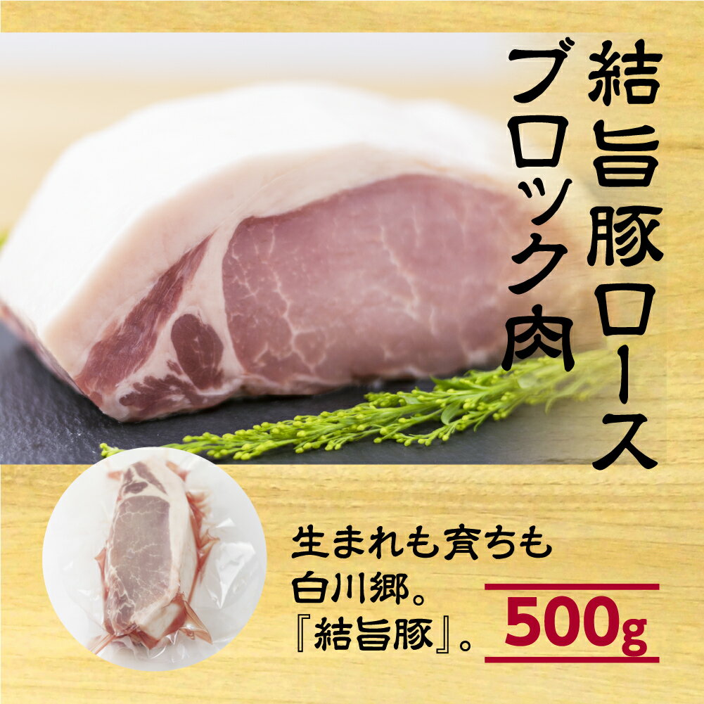 【ふるさと納税】 結旨豚ロース ブロック肉 500g 塊肉 ローストポーク ステーキ トンカツ かつ 肉 豚肉 国産 ブランド豚 白川郷 焼肉 焼き肉 バーベキュー BBQ キャンプ てんから 簡易梱包 訳あり 訳アリ 6000円 岐阜県 白川村 抗生物質 合成抗菌剤不使用 [S322] サムネイル2