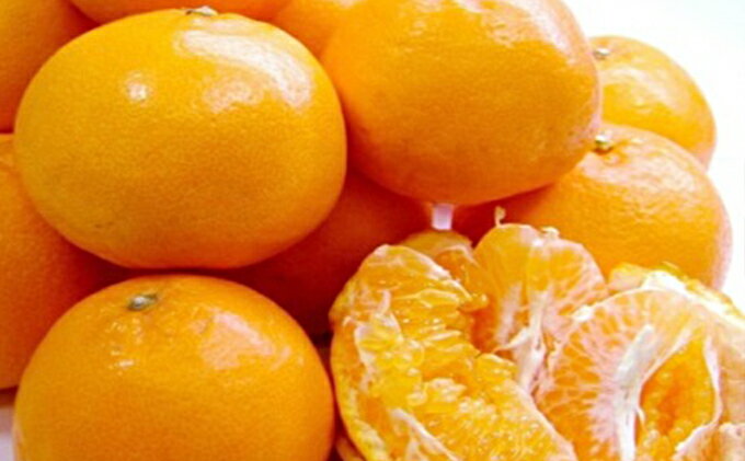 【ふるさと納税】【2026年2月上旬より順次発送】プチ、サク、ジューシー！清水のはるみ 5kg 【配送不可：離島】◆ | 果物類・柑橘類・フルーツ・みかん サムネイル2