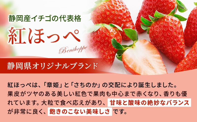 【ふるさと納税】いちご 紅ほっぺ 8パック 果物 イチゴ 苺 国産 ギフト 贈答品 お祝い プレゼント フルーツ くだもの◆ | 紅ほっぺ 静岡市 果物 いちご スイーツ デザート 食品 甘い 産地直送 新鮮 フルーツ 高級 プレゼント ギフト 冬季 クリスマス サムネイル3