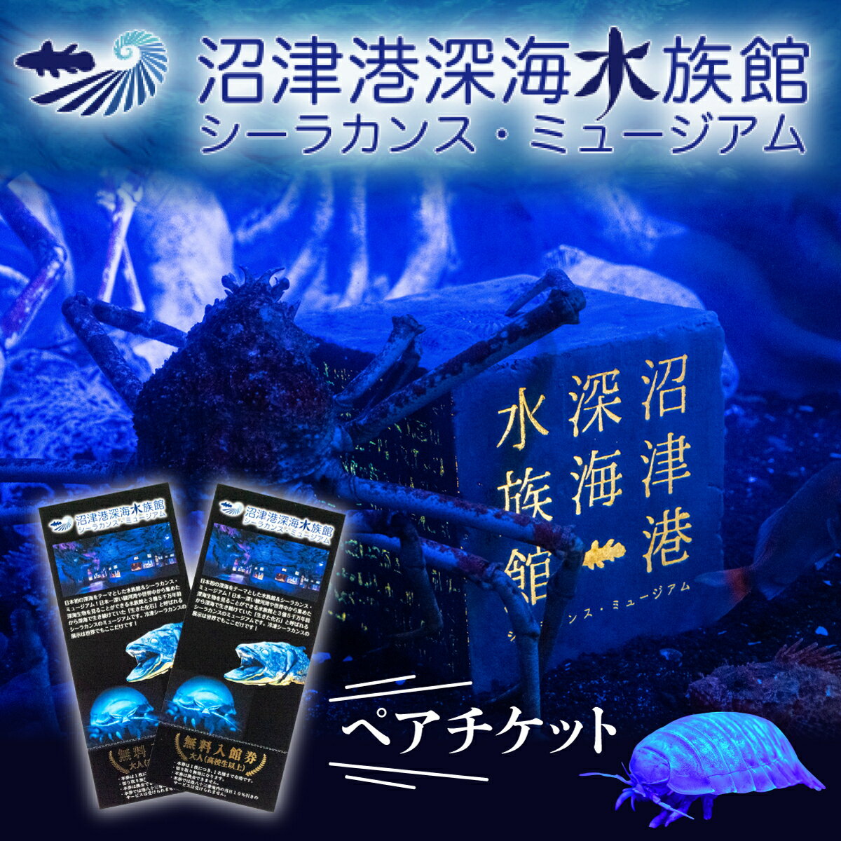 深海水族館 ペア チケット 2名 沼津港 シーラカンス ミュージアム 海 体験 プレゼント 贈答 ギフト カップル 家族 ファミリー 親子 観光 旅行 静岡県 沼津市