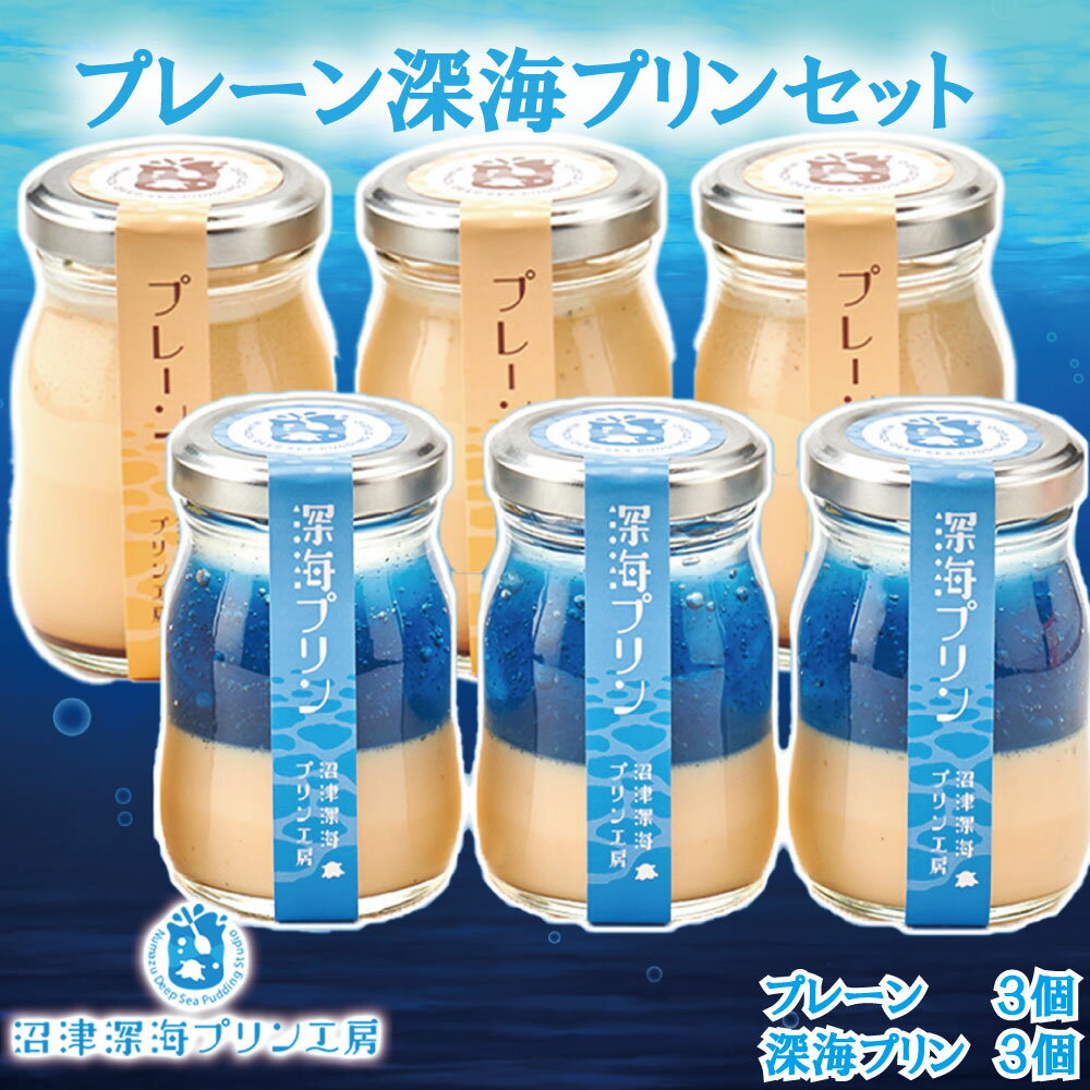 プリン 6個 セット 深海 3個 プレーン 3個 沼津港 人気 贈答 ギフト 手作り スイーツ デザート 濃厚 なめらか 卵 牛乳 冷凍 贈り物 プレゼント 誕生日 記念日 おやつ 洋菓子 沼津 静岡