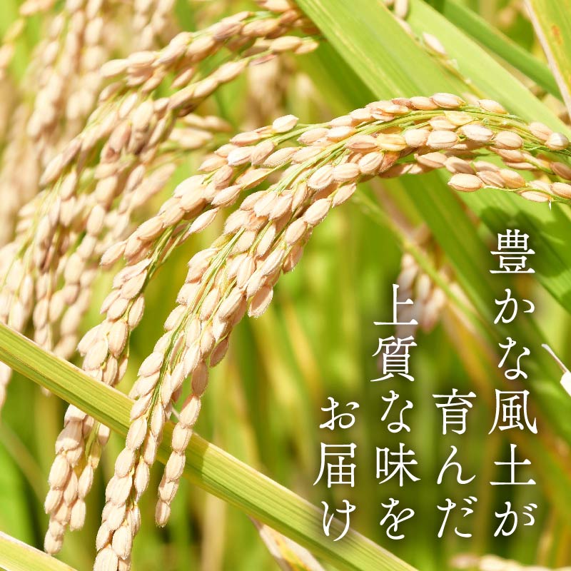 【ふるさと納税】 【令和7年産米】 するがの極 4kg 2kg × 2袋 特A ラブライブ！サンシャイン!! デザイン 米 こめ お米 白米 精米 JA ブランド米 きぬむすめ 沼津 静岡 静岡県産 - 画像3