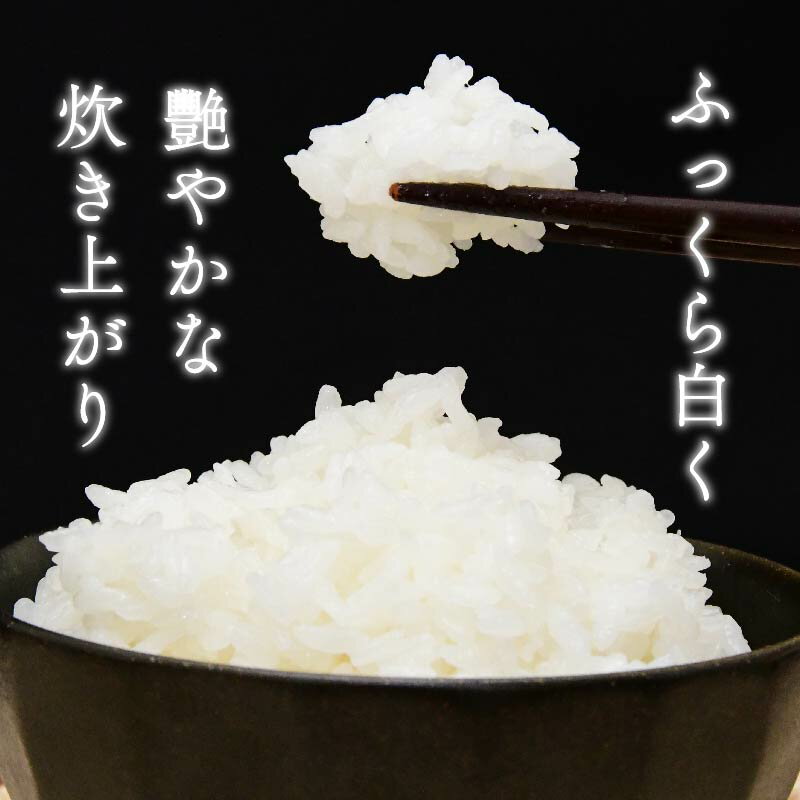 【ふるさと納税】 【令和7年産米】 するがの極 4kg 2kg × 2袋 特A ラブライブ！サンシャイン!! デザイン 米 こめ お米 白米 精米 JA ブランド米 きぬむすめ 沼津 静岡 静岡県産 - 画像2