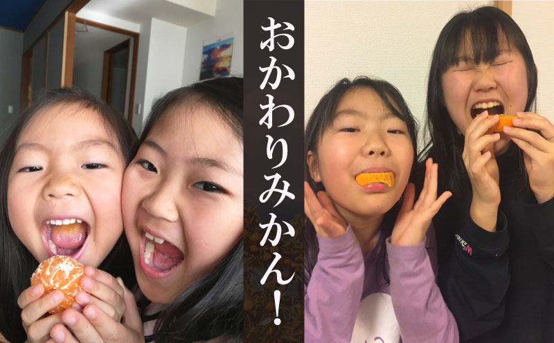 【ふるさと納税】 海塩 を与えて栽培した 青島みかん 予約受付 12月下旬 順次発送 訳あり 青島 みかん 計 3kg ~ 5kg 傷み補償分 200g 含む 蜜柑 柑橘 西浦 みかん オレンジ 果物 フルーツ 沼津市 静岡県 サムネイル3