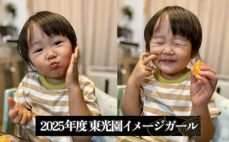 【ふるさと納税】 寿太郎みかん 訳あり 予約 1月下旬発送 計 3kg ? 5kg 蜜柑 柑橘 オレンジ 果物 フルーツ 海塩栽培 ビタミンC 国産 ジューシー 甘い 冬 贈答用 ギフト 家族 おやつ デザート 産地直送 みかんジュース 旬 健康 美容 沼津市 静岡県 サムネイル2