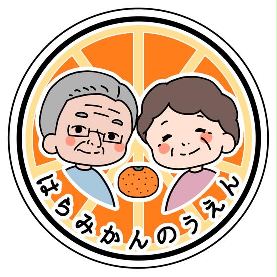 【ふるさと納税】 豆州 あまなつ 約 5kg はらみかん農園 柑橘 オレンジ 果物 フルーツ 甘夏 みかん 柑橘類 ビタミンC 国産 産地直送 旬 季節限定 数量限定 特産品 贈答用 ギフト 贈り物 お取り寄せ 沼津市 静岡県 サムネイル2