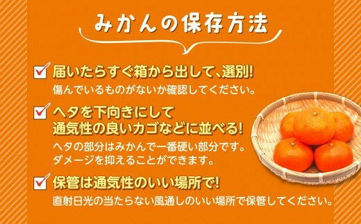 【ふるさと納税】 豆州 あまなつ 約 5kg はらみかん農園 柑橘 オレンジ 果物 フルーツ 甘夏 みかん 柑橘類 ビタミンC 国産 産地直送 旬 季節限定 数量限定 特産品 贈答用 ギフト 贈り物 お取り寄せ 沼津市 静岡県 サムネイル3