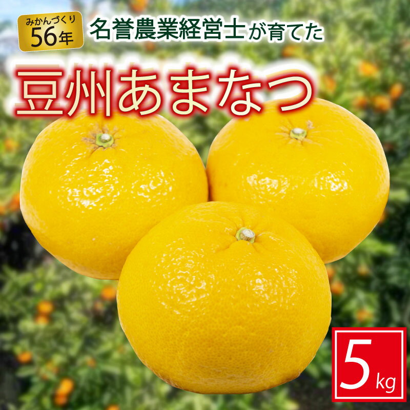 豆州 あまなつ 約 5kg はらみかん農園 柑橘 オレンジ 果物 フルーツ 甘夏 みかん 柑橘類 ビタミンC 国産 産地直送 旬 季節限定 数量限定 特産品 贈答用 ギフト 贈り物 お取り寄せ 沼津市 静岡県