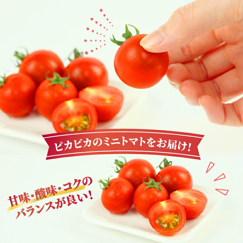 【ふるさと納税】 トマト プチ プチトマト ミニトマト 新鮮 摘みたて 就労支援 こころみファーム こころ味トマト - 画像2