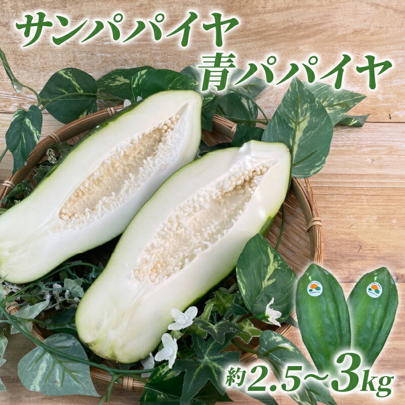 予約注文 2025年9月下旬発送 サン パパイヤ 青 パパイヤ 約 2.5 kg - 3 kg 酵素 野菜 果物 フルーツ パパイア 食物繊維 ダイエット 美容 グリーンパパイヤ ソムタム 沼津市 静岡県