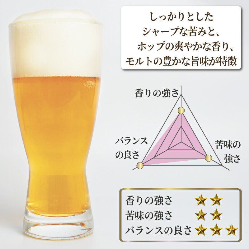 【ふるさと納税】 日本ビール クラフトビール 明治維新 坂本龍馬 ピルスナー 330ml 6本 セット ビール お酒 晩酌 地ビール 国産 手作り 特産品 プレミアム 贈り物 プレゼント ギフト 父の日 母の日 敬老の日 歴史 幕末 沼津市 静岡県 サムネイル2