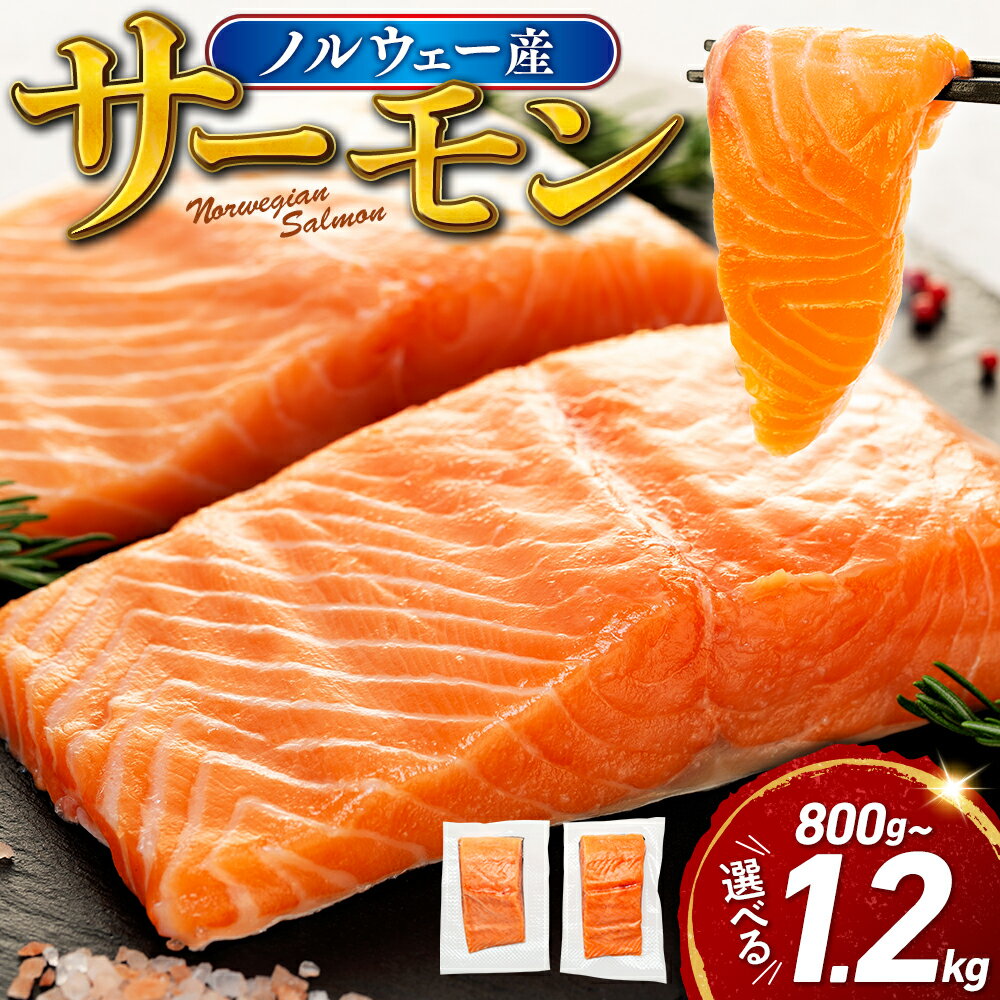 サーモン ノルウェー産 800g 1.2kg 刺身 まるが水産 父の日 冷凍 鮭 さけ 海鮮 訳あり 人気 ランキング 魚介 生食用 解凍 刺身用 切り身 高品質 新鮮 美味しい 贈り物 ギフト おつまみ 家飲み 沼津市 静岡県