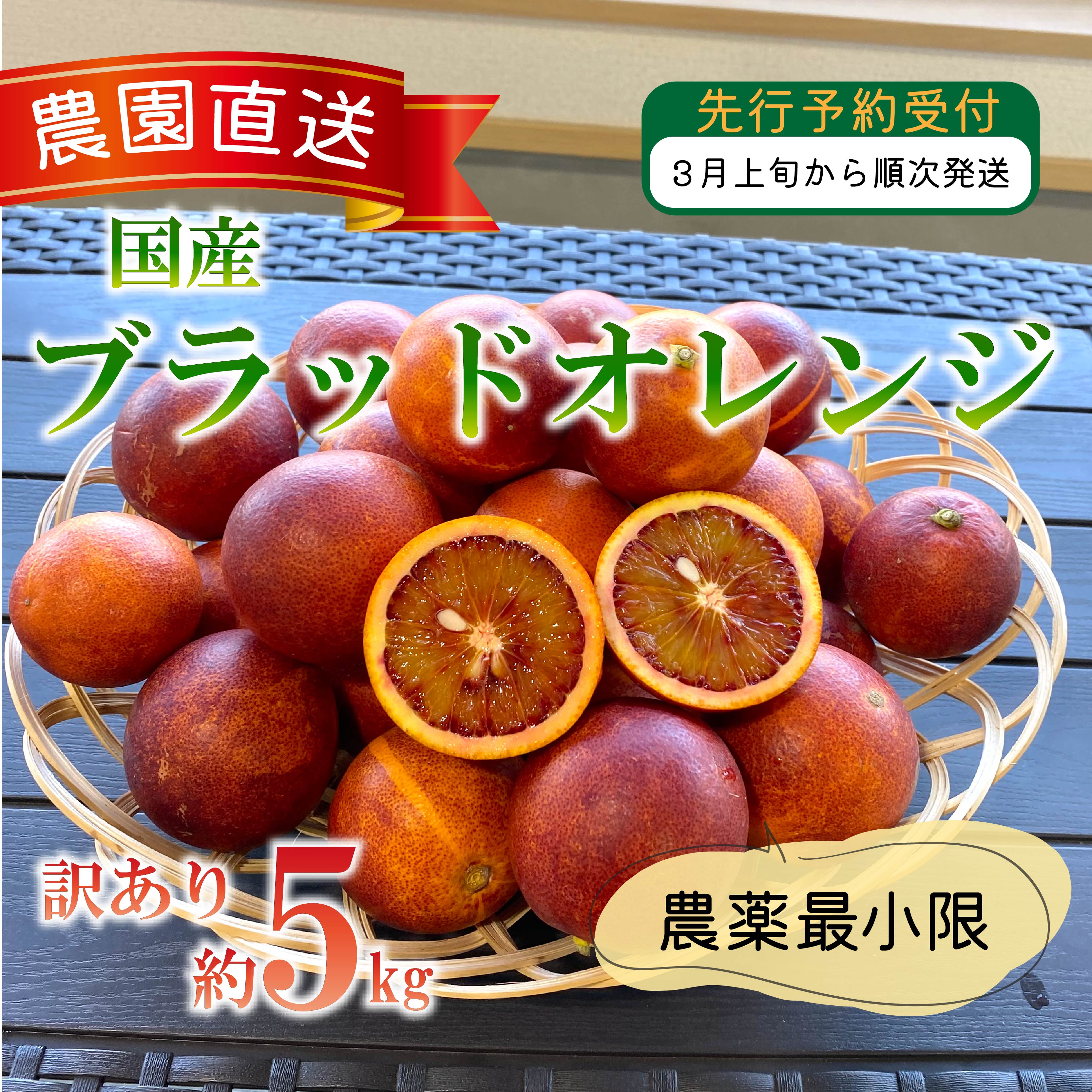訳あり 西浦 国産 ブラッドオレンジ 5kg 柑橘 果物 フルーツ 贈答品 ギフト 季節限定 特産品 みかん 果汁 デザート 産地直送 農家直送 みかん園 木負観光みかん園 沼津市 静岡県