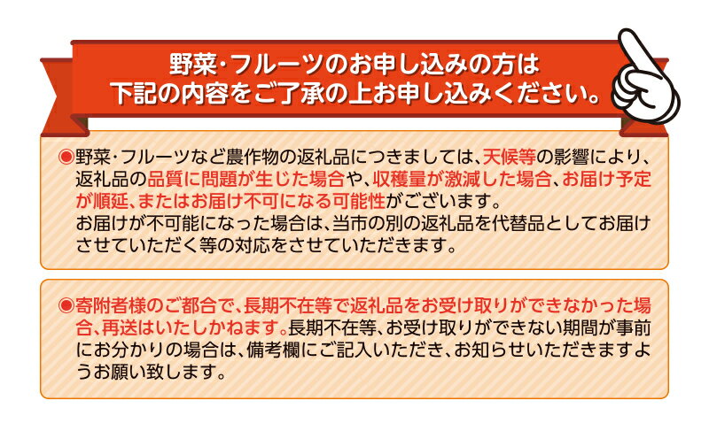 【ふるさと納税】 訳あり 西浦 国産 ブラッドオレンジ 5kg 柑橘 果物 フルーツ 贈答品 ギフト 季節限定 特産品 みかん 果汁 デザート 産地直送 農家直送 みかん園 木負観光みかん園 沼津市 静岡県 サムネイル3