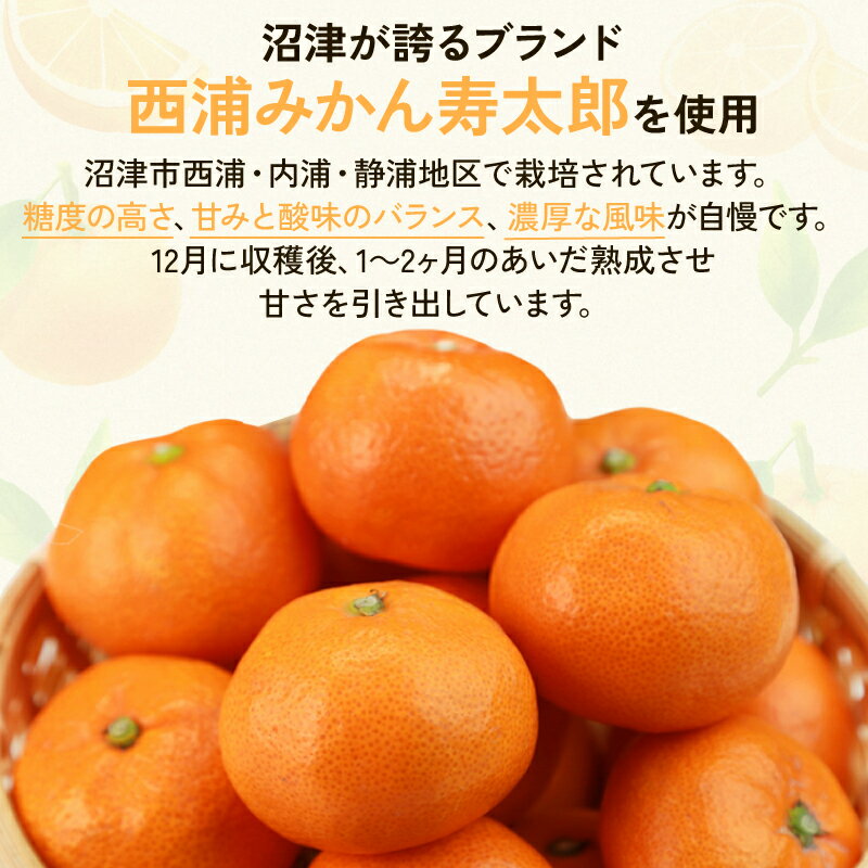 【ふるさと納税】 ワイン 寿太郎 みかん スパークリング ワイン 2本 セット ｜ 西浦 柑橘 果物 フルーツ ワイン 贈り物 お祝い プレゼント 果実酒 地酒 国産ワイン 特産品 沼津市 静岡県 サムネイル3