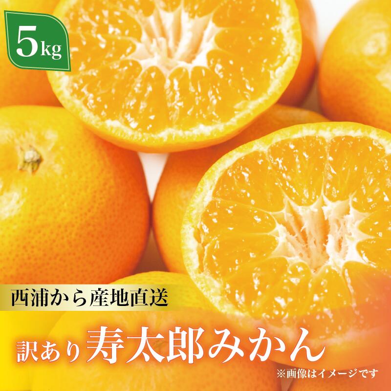 訳あり 寿太郎 みかん 約5kg 蜜柑 柑橘 オレンジ 果物 フルーツ 国産 旬 甘い 新鮮 家庭用 贈答用 ジュース 高糖度 皮むき簡単 冬季限定 産地直送 農家 伊豆 特産品 おやつ デザート 沼津市 静岡県