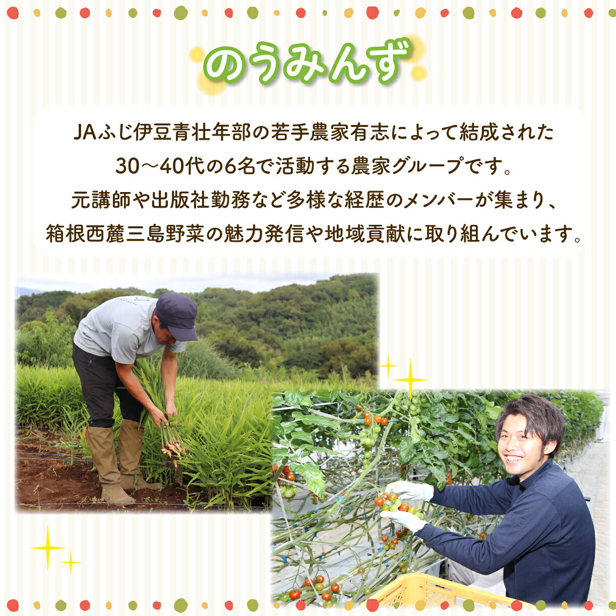 【ふるさと納税】【予約受付中】 のうみんず 野菜詰め合わせ 5種以上 とうもろこし ミニトマト 馬鈴薯 葉生姜 ロメインレタス ヤングコーン JAふじ伊豆 ファ－マーズマーケット みしまるかん 静岡県 三島市 - 画像3