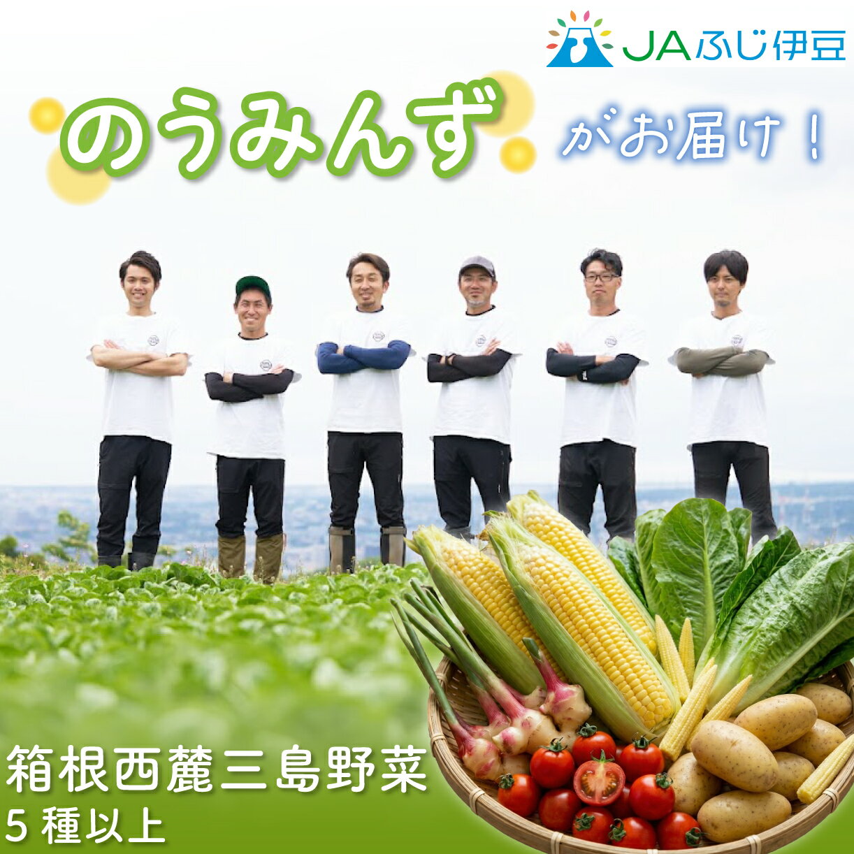 【予約受付中】 のうみんず 野菜詰め合わせ 5種以上 とうもろこし ミニトマト 馬鈴薯 葉生姜 ロメインレタス ヤングコーン JAふじ伊豆 ファ－マーズマーケット みしまるかん 静岡県 三島市