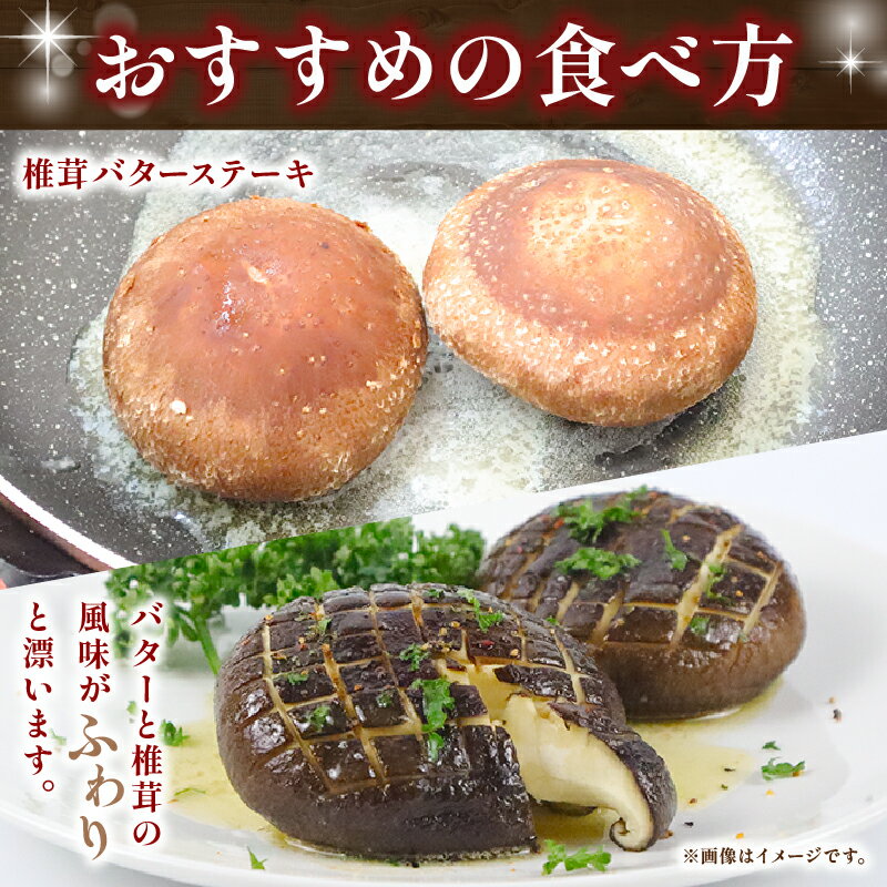 【ふるさと納税】 大きな生椎茸 600g しいたけ きのこ 山菜 椎茸 シイタケ 食べ応え 惣菜 出汁 菌床栽培 国産 新鮮 ビタミンD 料理 鍋 炒め物 煮物 和食 中華 パスタ グルメ 贈り物 産地直送 三島市 静岡県 - 画像3