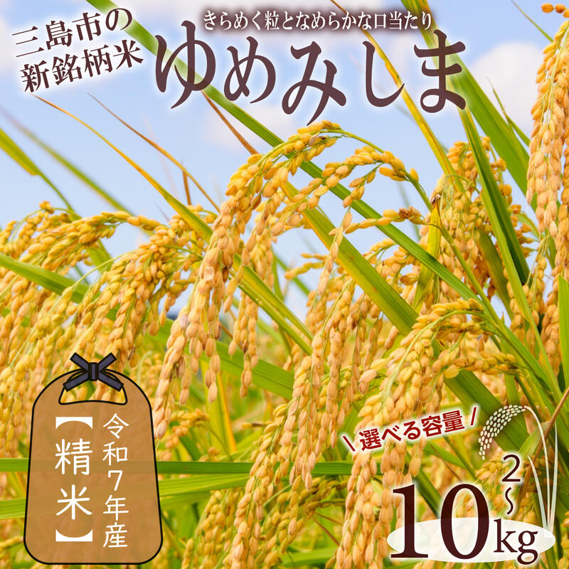 令和7年産 先行予約 ゆめみしま 精米 選べる 容量 2kg 5kg 10kg 三島米 新銘柄米 「ゆめみしま」 粒形が特徴的 湧水育ち こめ 米 ごはん 白米 お米 精米 炊き込みご飯 グラウンドワーク アグリライフ三島 静岡県 三島市