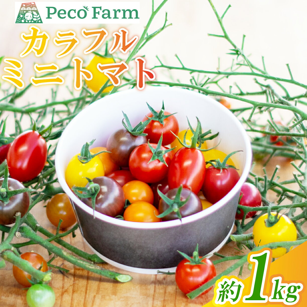 カラフルミニトマト MIX 約1kg 新鮮野菜 野菜 サラダ にぴったり トマト 予約受付