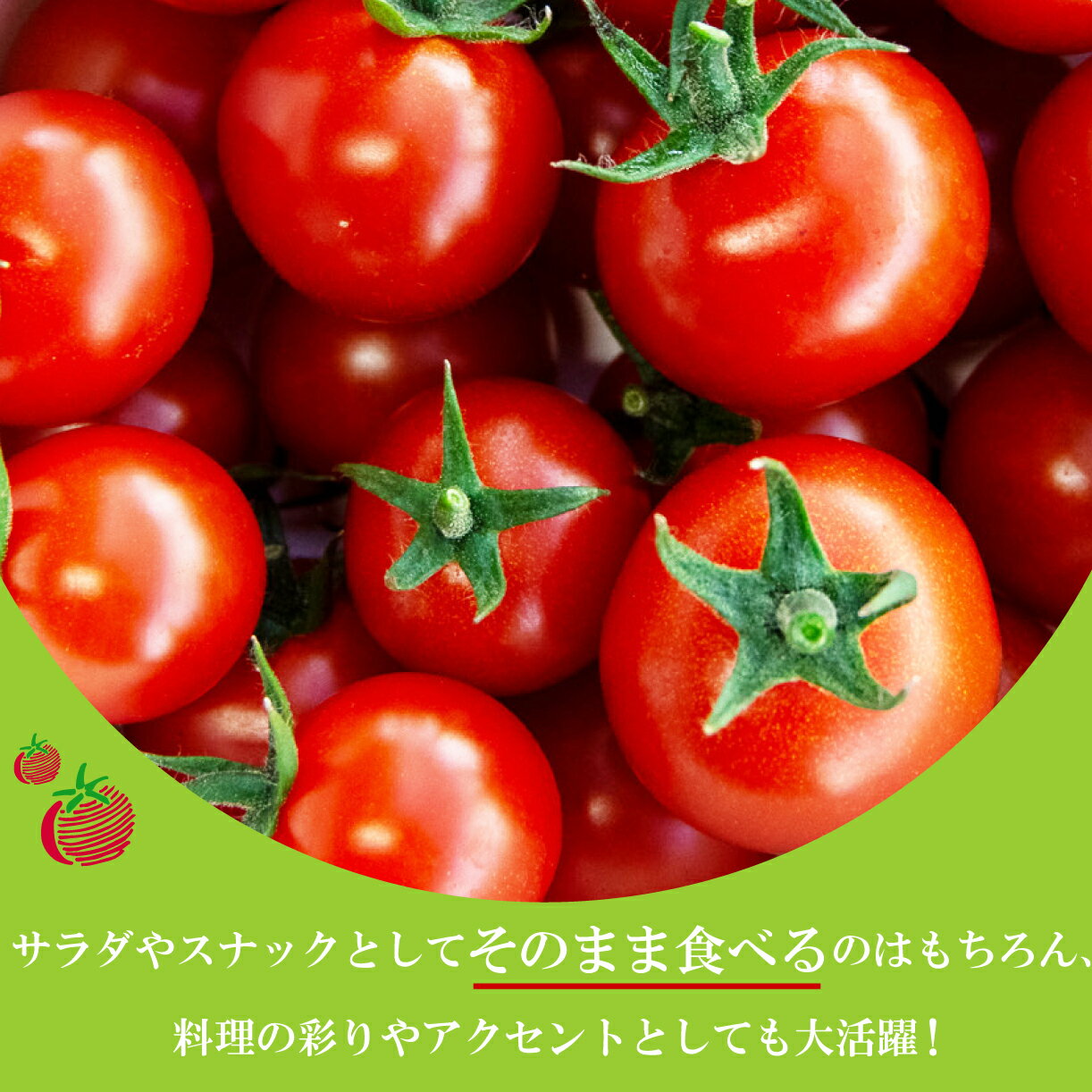 【ふるさと納税】 ミニトマト 約1kg 赤 トマト 新鮮野菜 野菜 サラダ にぴったり 予約受付 - 画像2