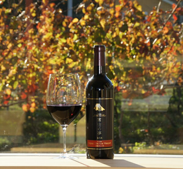 ワイン　赤　富士山北山ワイン　日本ワイン（赤）「富士の夢」1本　送料無料 静岡県 富士宮市