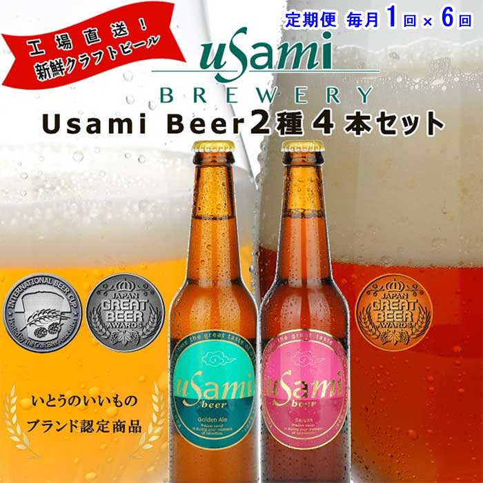 W06【定期便 全6回】Usamiビール2種×2本(4本セット) 毎月1回×6回