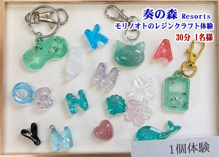 静岡県伊東市 奏の森リゾート 奏の森Resorts内モリノオトのレジンクラフト体験30分(1名様)