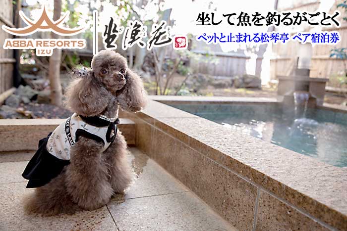 ABBA RESORT IZU-坐漁荘 ペットと宿泊できる離れ露天風呂付き松琴亭 ペア宿泊券(1泊2食付)