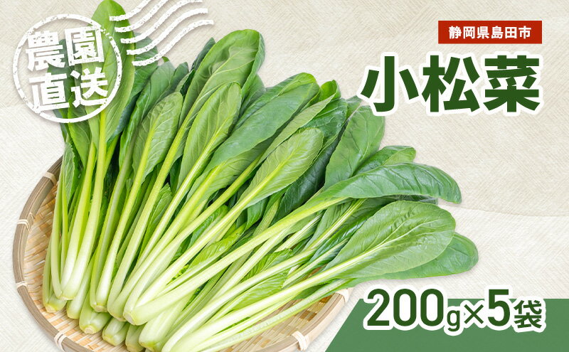 【ふるさと納税】静岡県島田市産 小松菜200g×5袋　野菜 やさい こまつな 旬 国産 産地直送 詰合せ 静岡県 島田市 - 画像2