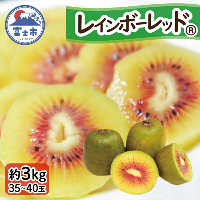 キウイフルーツ（レインボーレッド®）3kg 極旨 高糖度 詰め合わせ 35～40玉前後 期間限定 [sf001-007]