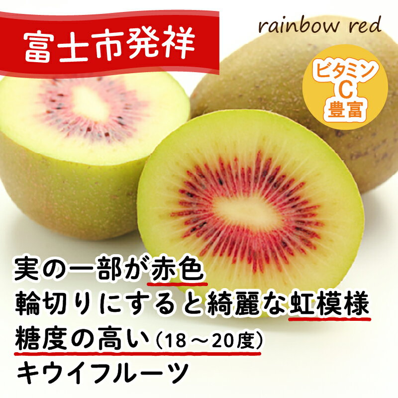 【ふるさと納税】 キウイフルーツ レインボーレッド®2kg 極旨 高糖度 詰め合わせ 20～25玉前後 期間限定 [sf001-087] サムネイル2