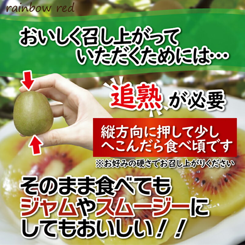 【ふるさと納税】 キウイフルーツ レインボーレッド®2kg 極旨 高糖度 詰め合わせ 20～25玉前後 期間限定 [sf001-087] サムネイル3