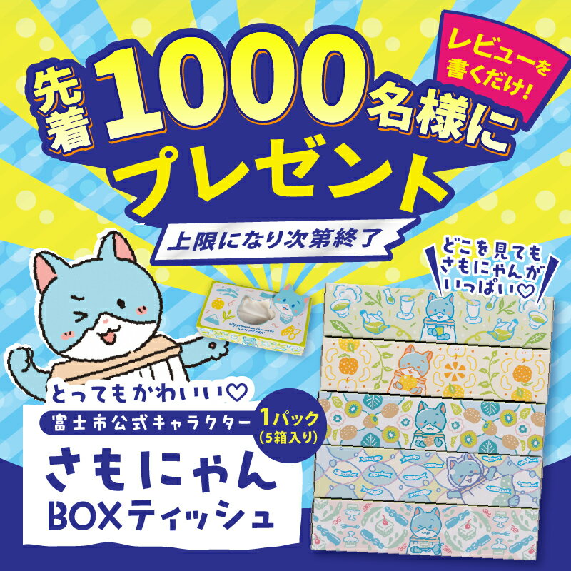 【ふるさと納税】【レビューキャンペーン】 ボックスティッシュ Chuari 計60箱 (5箱×12パック) (1箱 120組 240枚) パルプ100％ ソフト 富士山 雪解け水 箱ティッシュ ティッシュペーパー 防災 備蓄 日用品 生活用品 消耗品 テッシュ テイッシュ 静岡県 富士市 [sf002-194] サムネイル2