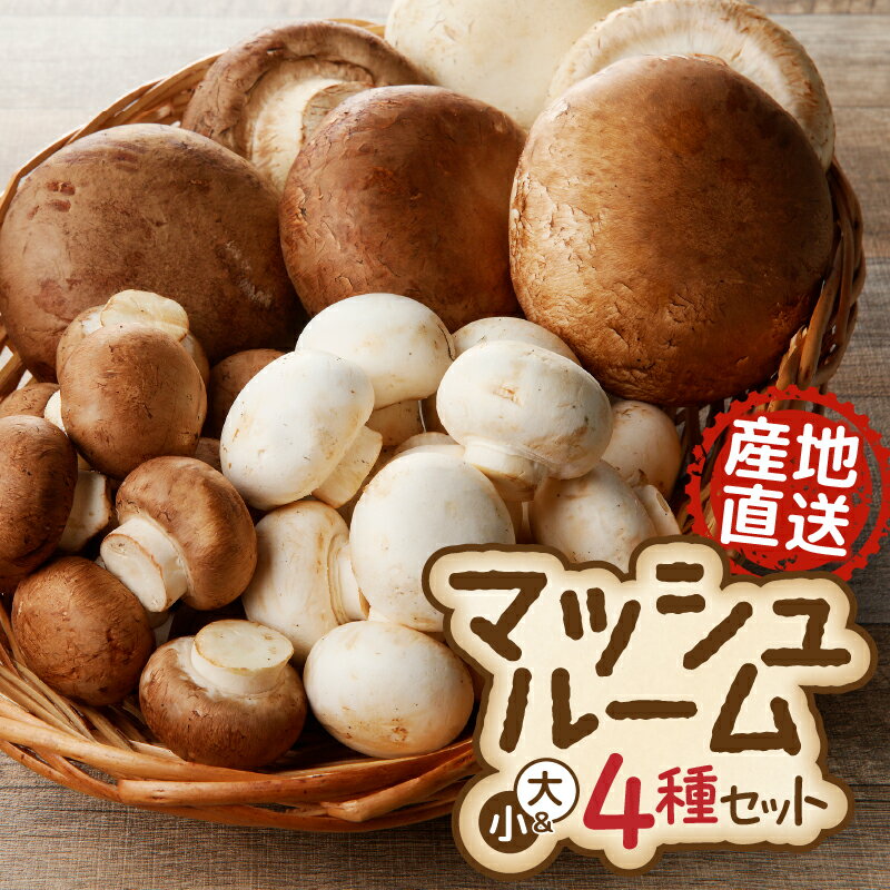 【ふるさと納税】 長谷川農産の美味しいマッシュルームセット 無農薬・無漂白栽培 ホワイト種(大×2個、小×1パック) ブラウン種(大×4個、小×1パック) 富士山麓 マッシュルームファーム 産地直送 高品質 きのこ キノコ ギフト 野菜 長谷川農産 静岡県 富士市 [sf002-005] - 画像2