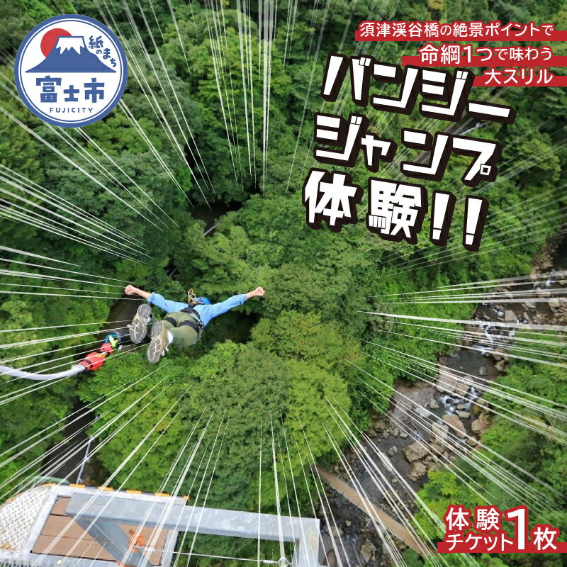 バンジージャンプ 体験 チケット 1枚 アウトドア アクティビティ 絶景 須津渓谷橋 静岡県 富士市 [sf016-001]