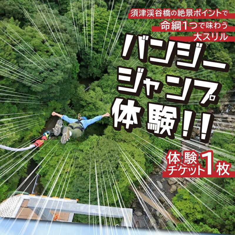 【ふるさと納税】 バンジージャンプ 体験 チケット 1枚 アウトドア アクティビティ 絶景 須津渓谷橋 静岡県 富士市 [sf016-001] サムネイル2