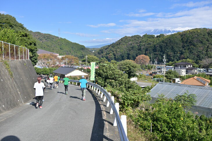 【ふるさと納税】 晩秋の富士川を「駆ける」〜ふじかわキウイマラソン〜A チケット 出走権 期間限定 数量限定 ご当地 富士市 (1266) [sf007-002] サムネイル3